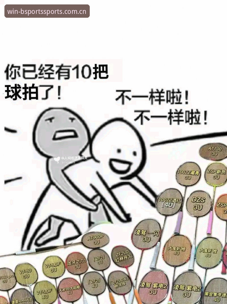 资深技术评测员揭秘：必一体育常见问题哪个好？我的v2.3.1版本实测心得